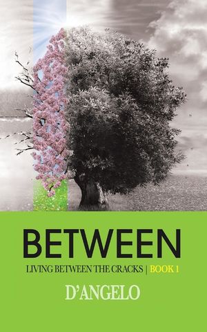 Between image number 0