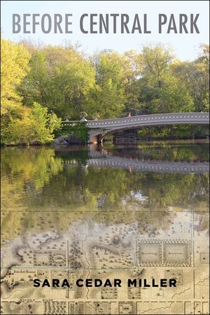 Before Central Park image number 0