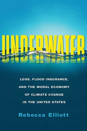 Underwater: Loss, Flood Insurance, and the Moral Economy of Climate Change in the United States image number 0