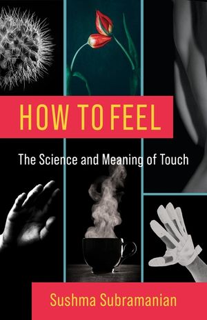 How to Feel: The Science and Meaning of Touch image number 0