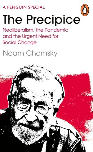 The Precipice: Neoliberalism, the Pandemic and the Urgent Need for Radical Change image number 0