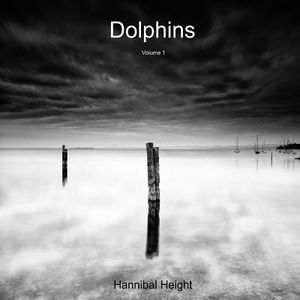 Dolphins - Volume 1 image number 0