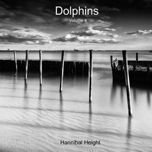 Dolphins - Volume 4 image number 0