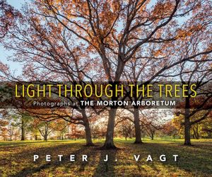 Light Through the Trees: Photographs at the Morton Arboretum image number 0