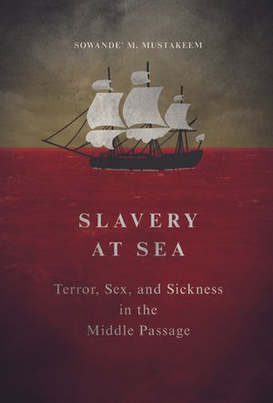 Slavery at Sea: Terror, Sex, and Sickness in the Middle Passage image number 0