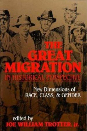 The Great Migration in Historical Perspective: New Dimensions of Race, Class, and Gender image number 0
