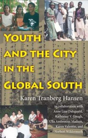 Youth and the City in the Global South image number 0