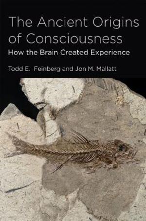 The Ancient Origins of Consciousness: How the Brain Created Experience image number 0