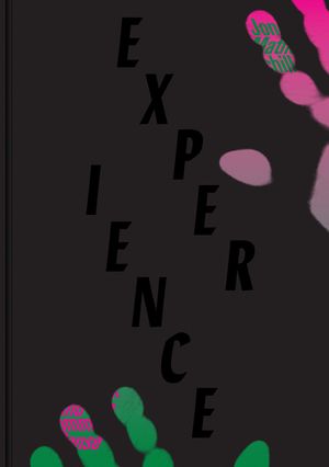 Experience: Culture, Cognition, and the Common Sense image number 0
