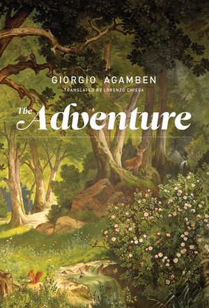 The Adventure image number 0
