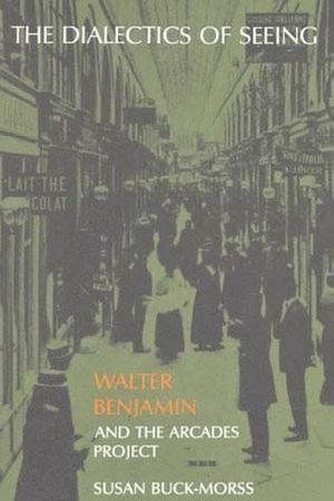 The Dialectics of Seeing: Walter Benjamin and the Arcades Project image number 0