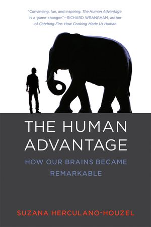 The Human Advantage: How Our Brains Became Remarkable image number 0