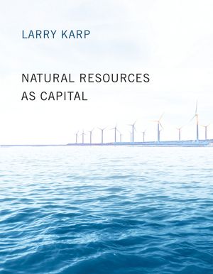 Natural Resources as Capital image number 0