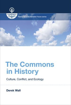 The Commons in History: Culture, Conflict, and Ecology image number 0
