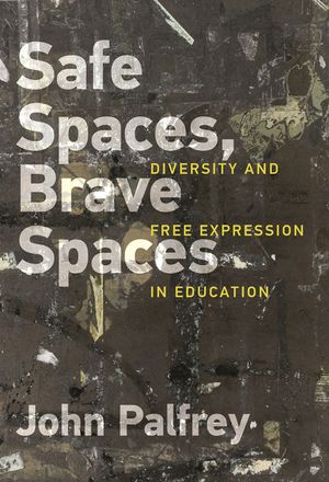 Safe Spaces, Brave Spaces: Diversity and Free Expression in Education image number 0