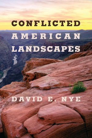 Conflicted American Landscapes image number 0