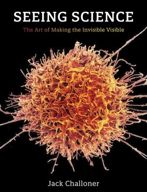 Seeing Science: The Art of Making the Invisible Visible image number 0