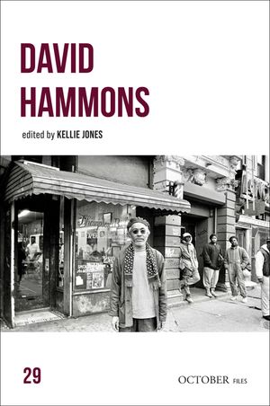 David Hammons image number 0