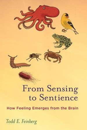 From Sensing to Sentience: How Feeling Emerges from the Brain image number 0