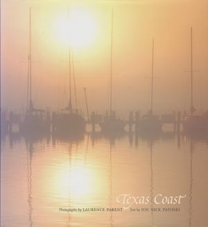 Texas Coast image number 0