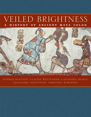 Veiled Brightness: A History of Ancient Maya Color image number 0