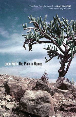 The Plain in Flames image number 0