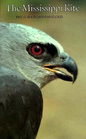 The Mississippi Kite: Portrait of a Southern Hawk image number 0