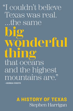 Big Wonderful Thing: A History of Texas image number 0