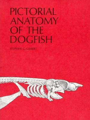 Pictorial Anatomy of the Dogfish image number 0