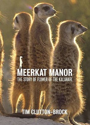 The Meerkats: Flower of the Kalahari image number 0