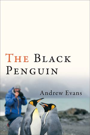 The Black Penguin image number 0