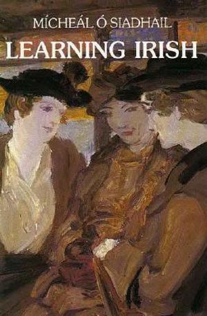 Learning Irish: An Introductory Self-Tutor image number 0
