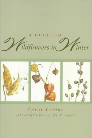 A Guide to Wildflowers in Winter: Herbaceous Plants of Northeastern North America image number 0