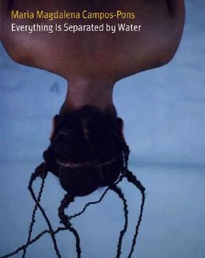 Mar&iacute;a Magdalena Campos-Pons: Everything Is Separated by Water image number 0