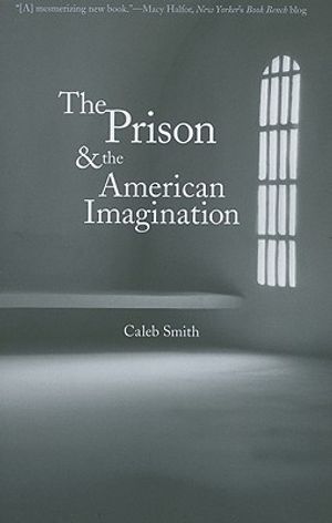 Prison and the American Imagination image number 0