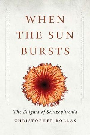 When the Sun Bursts: The Enigma of Schizophrenia image number 0