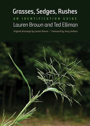Grasses, Sedges, Rushes: An Identification Guide image number 0