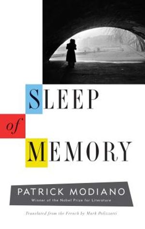 Sleep of Memory image number 0