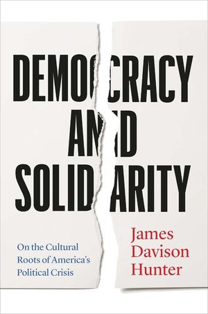 Democracy and Solidarity: On the Cultural Roots of America's Political Crisis image number 0