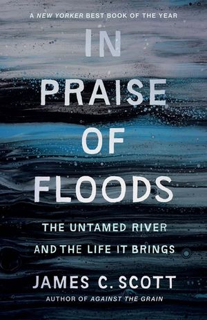 In Praise of Floods: The Untamed River and the Life It Brings image number 0