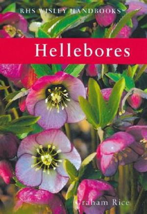Hellebores image number 0