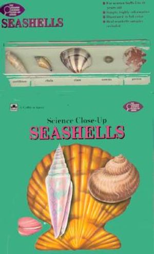 Seashells image number 0