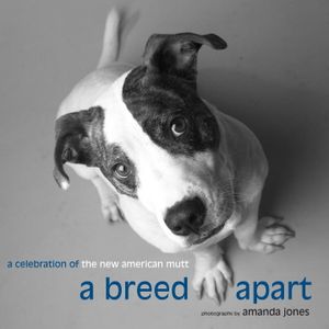 Breed Apart : A Celebration of the New American Mutt image number 0