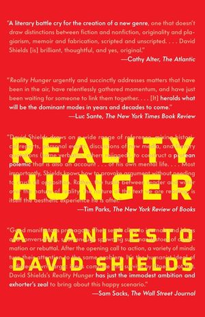 Reality Hunger: A Manifesto image number 0