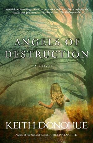Angels of Destruction image number 0