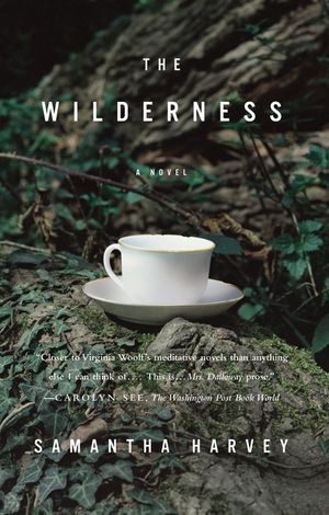 The Wilderness image number 0