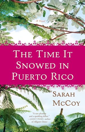 The Time It Snowed in Puerto Rico image number 0