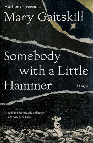 Somebody with a Little Hammer: Essays image number 0