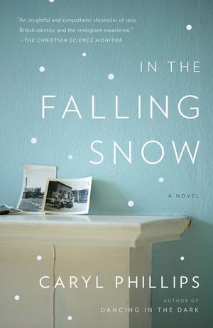 In the Falling Snow image number 0