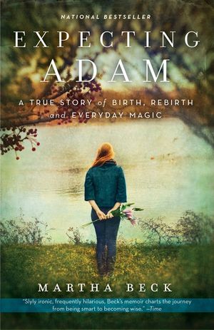 Expecting Adam: A True Story of Birth, Rebirth, and Everyday Magic image number 0